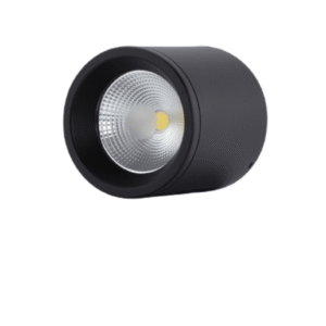 Đèn Downlight nổi trần trang trí 10W - NT01 110/10W