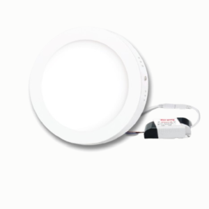 Bộ đèn LED panel tròn  Điện Quang ĐQ LEDPN10 24765 300 V02 (24W, daylight, F300)