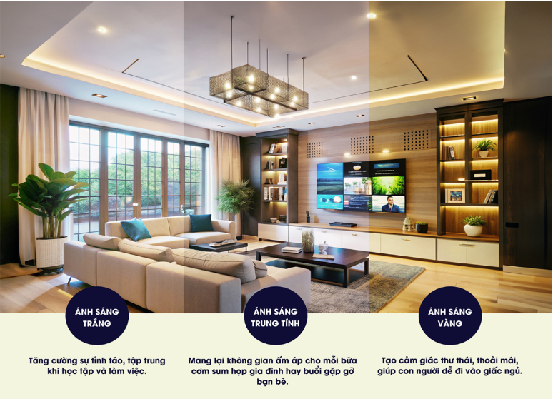 Nhà Phân Phối Thiết Bị Điện NGỌC VINH